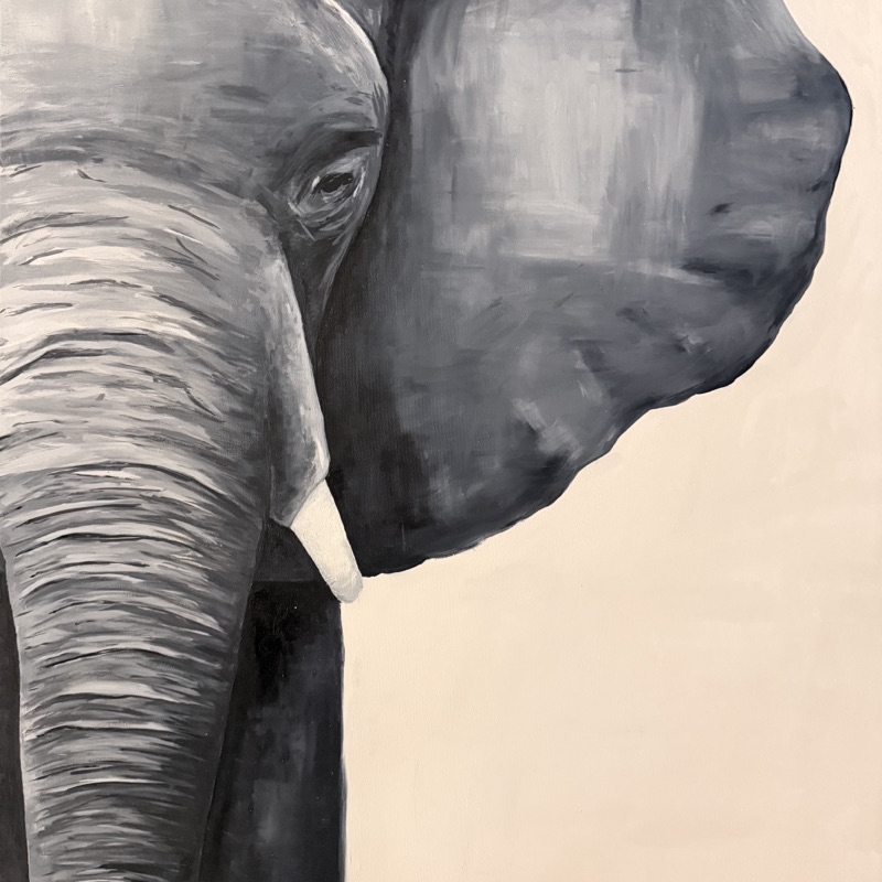 Elefant 2